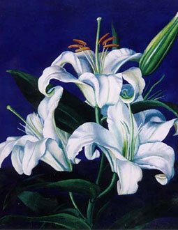 Fragment from Tatiana Nazarenkos White Lilies
